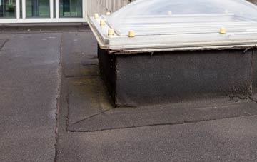 disadvantages of Up Somborne flat roofs