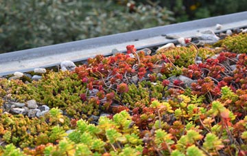 the cost of Up Somborne green roof installation