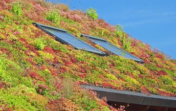 Up Somborne living roof systems